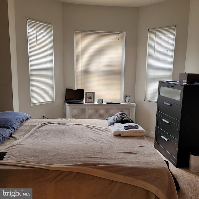 bedroom featuring multiple windows, radiator heating unit, and carpet