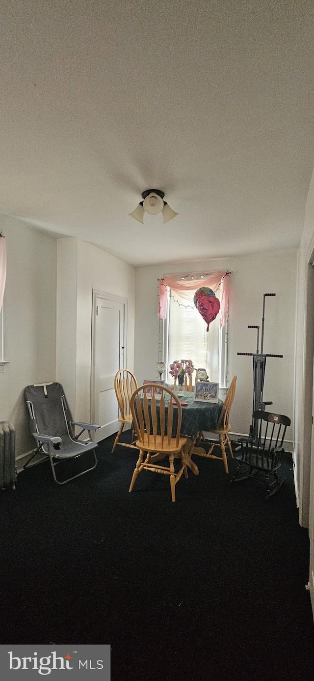 dining room with radiator heating unit and a textured ceiling