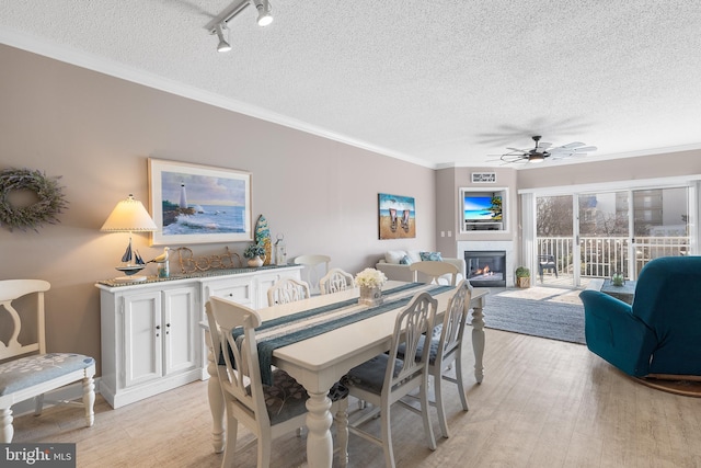 dining room with crown molding, a textured ceiling, and light wood-type flooring