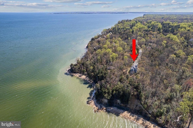 bird's eye view with a water view and a forest view