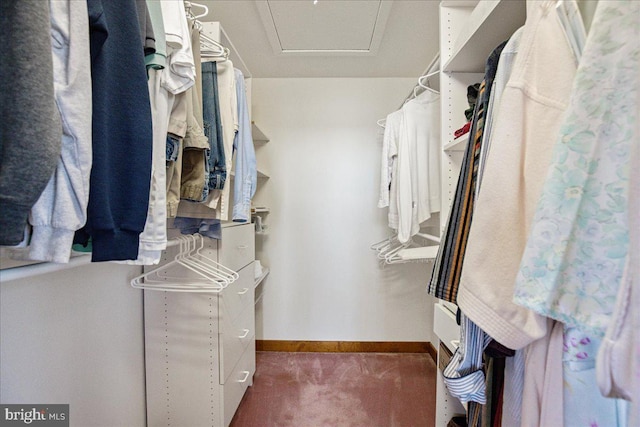 spacious closet with attic access and carpet