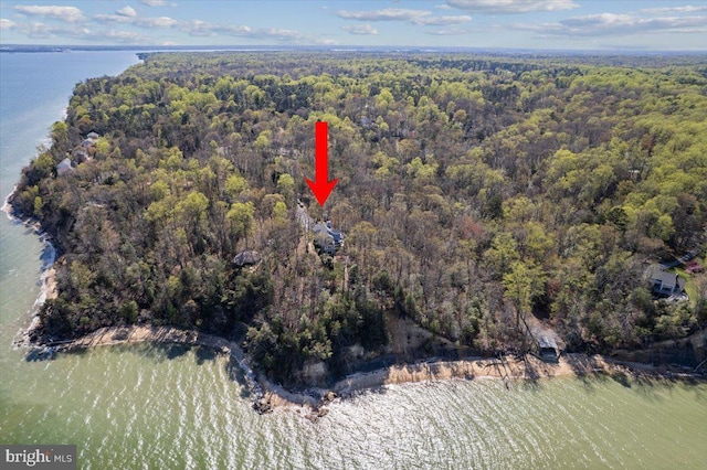 bird's eye view with a water view and a wooded view