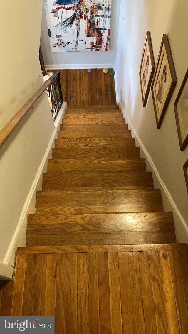 staircase with hardwood / wood-style flooring