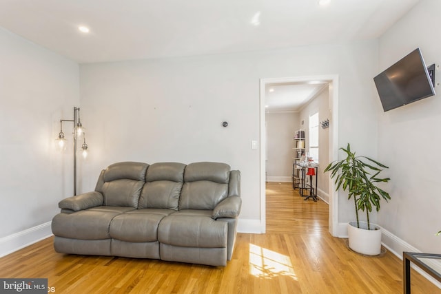 living room featuring light hardwood / wood-style flooring