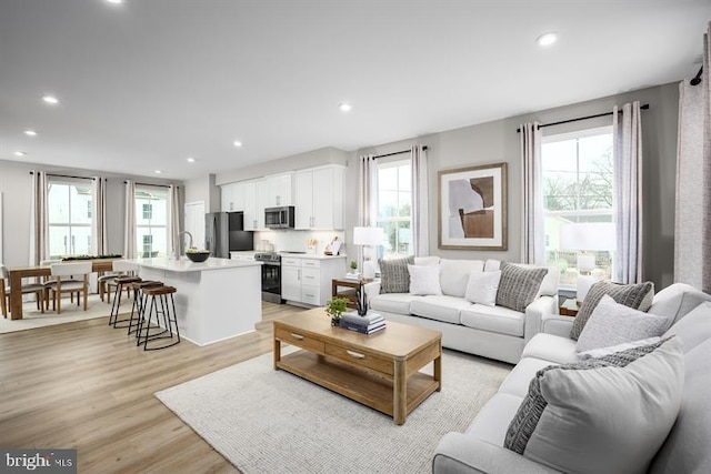 living room with light wood-type flooring