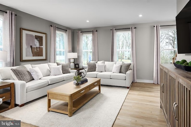 living room featuring a healthy amount of sunlight and light hardwood / wood-style floors