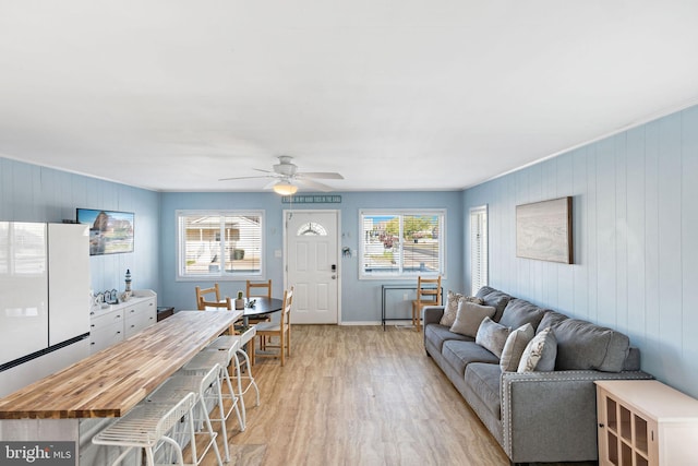 living room with ceiling fan, a wealth of natural light, and light wood-type flooring