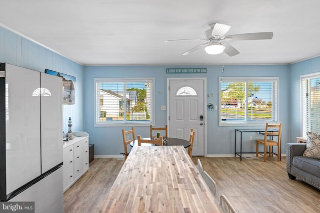 interior space featuring plenty of natural light, light hardwood / wood-style floors, and ceiling fan