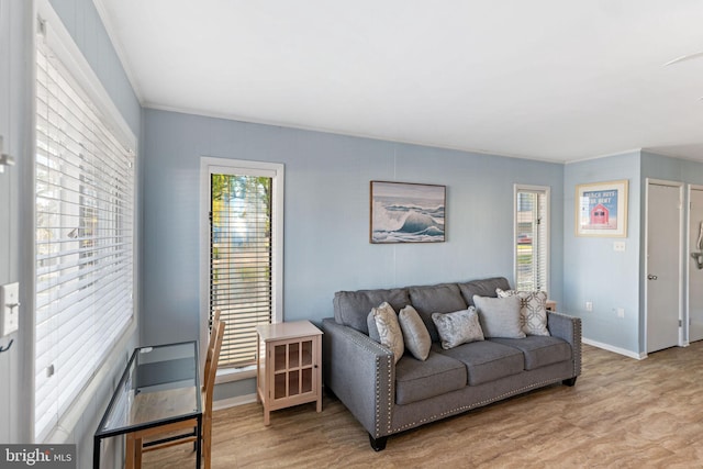 living room featuring crown molding and light wood-type flooring