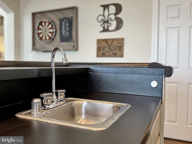 interior details featuring sink