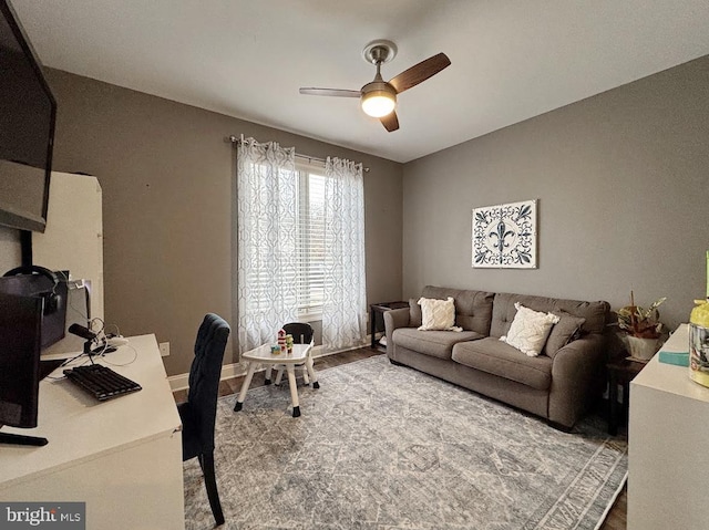 office area featuring hardwood / wood-style flooring and ceiling fan