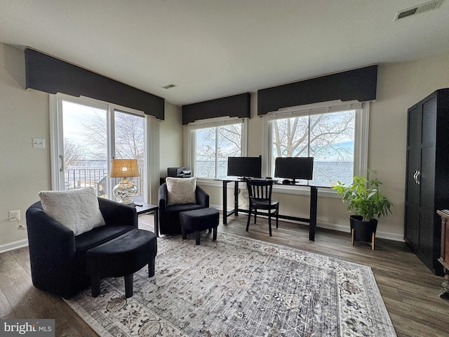 living room featuring hardwood / wood-style floors