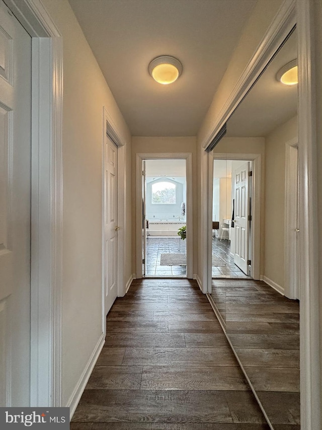 hallway with dark hardwood / wood-style floors