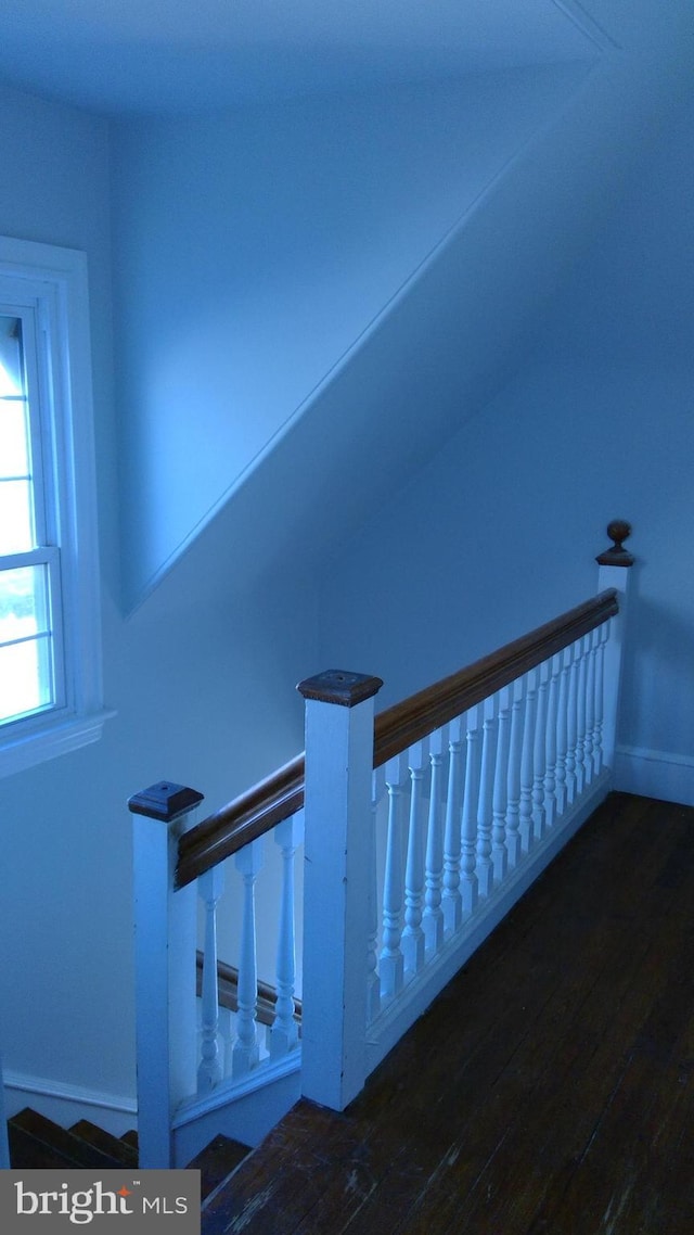 stairway featuring wood-type flooring