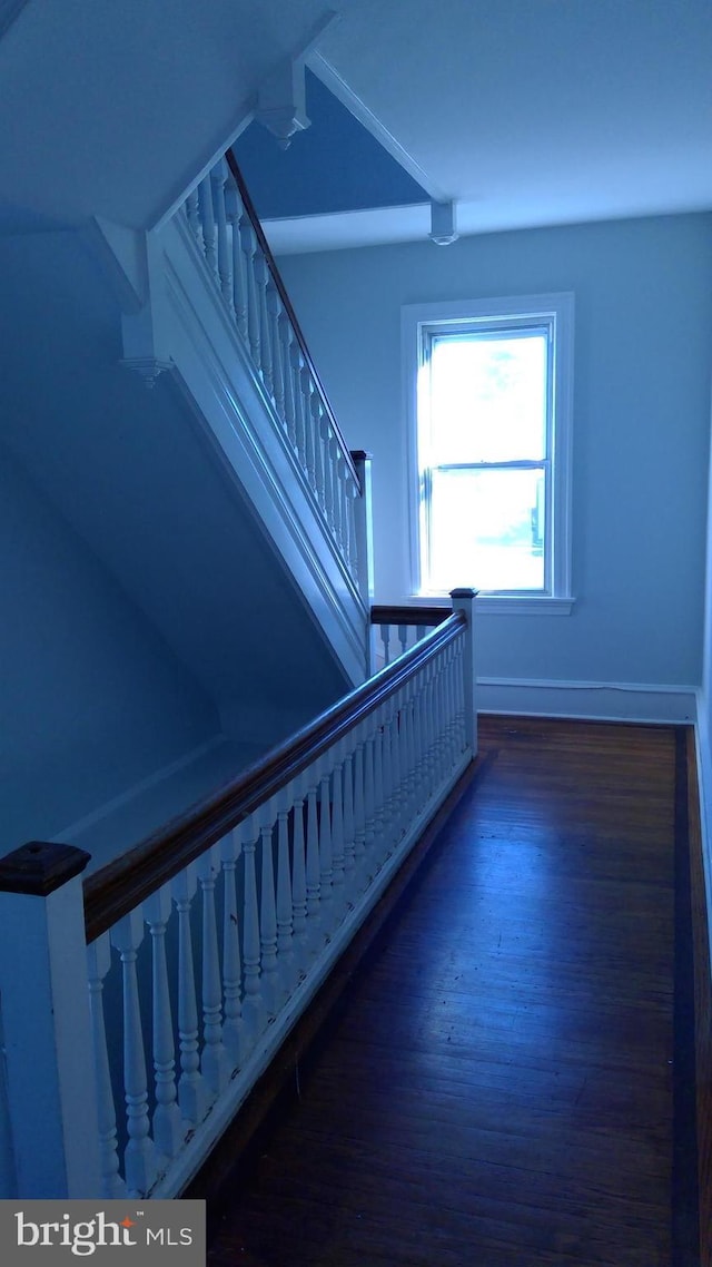 stairway with wood-type flooring