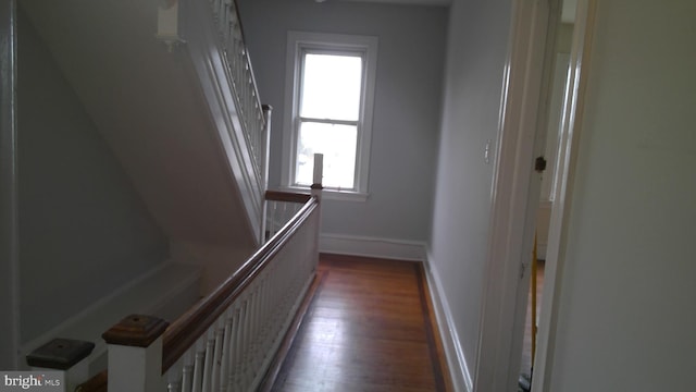 hall with dark hardwood / wood-style floors