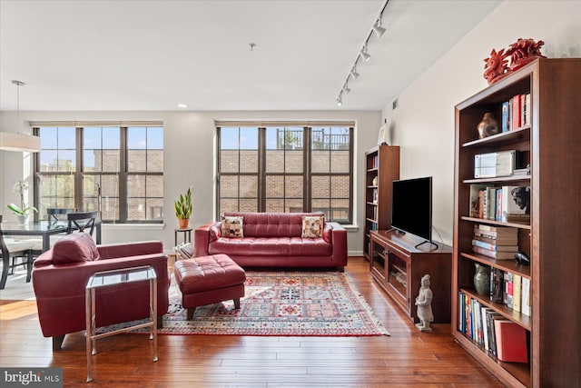 living room featuring plenty of natural light, track lighting, and hardwood / wood-style flooring