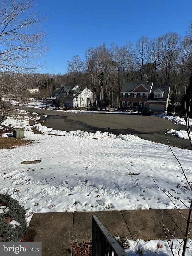 view of yard covered in snow