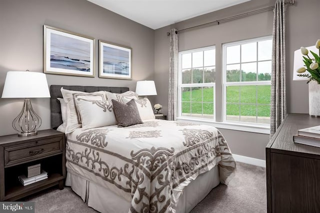 bedroom with carpet floors