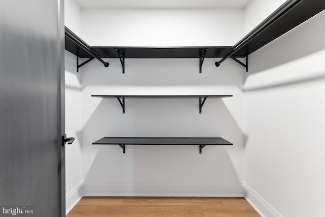 spacious closet featuring light hardwood / wood-style flooring