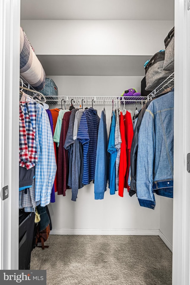 walk in closet with carpet