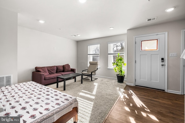 entryway featuring hardwood / wood-style flooring