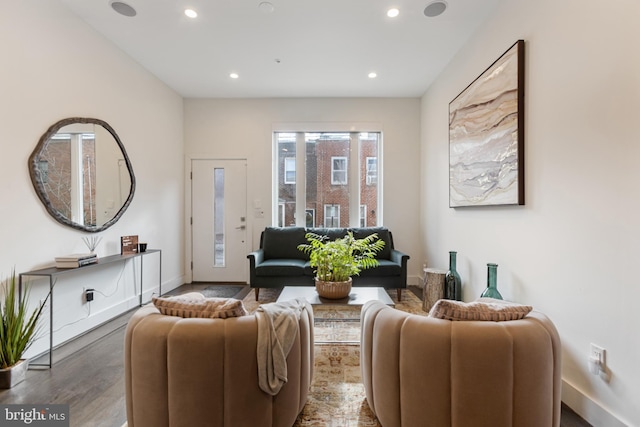 living room with wood-type flooring