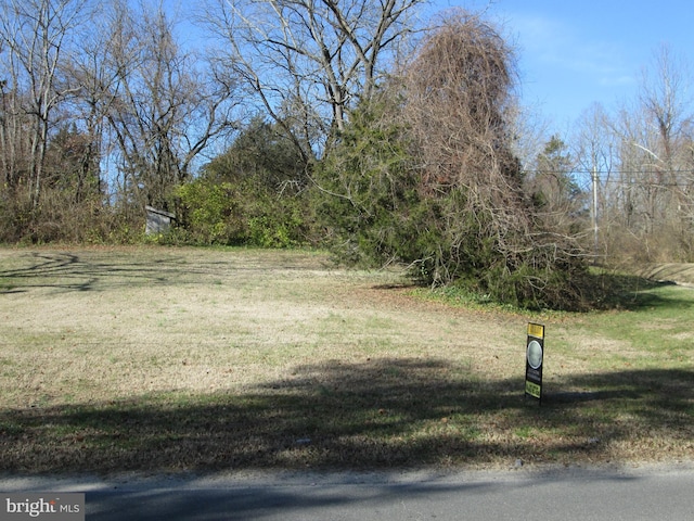 202 Brooklyn Ave, Federalsburg MD, 21632 land for sale