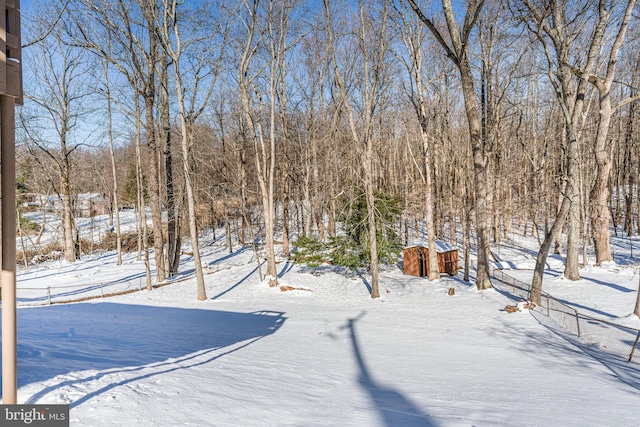 view of yard covered in snow