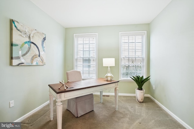 office featuring carpet floors and plenty of natural light