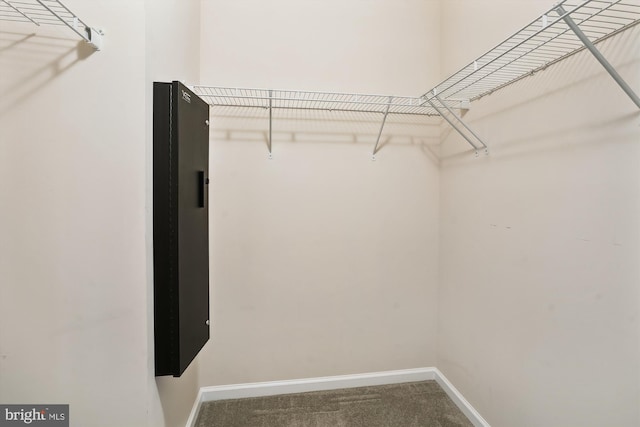 walk in closet with carpet flooring