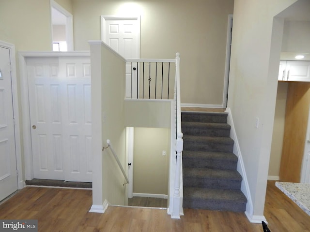 staircase with hardwood / wood-style floors