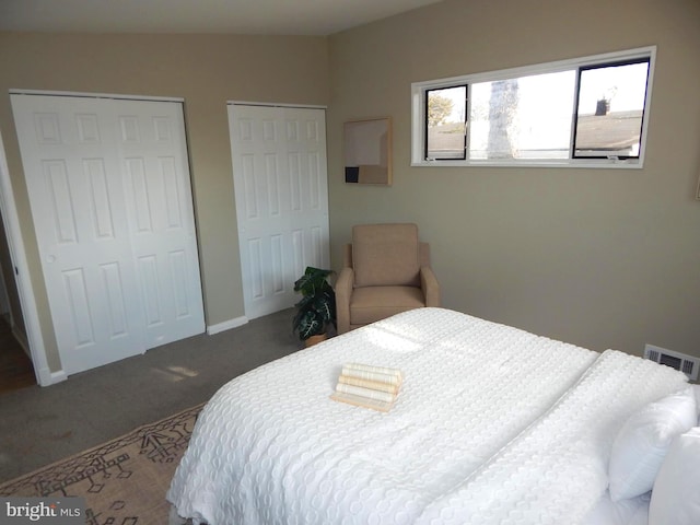 carpeted bedroom featuring multiple closets