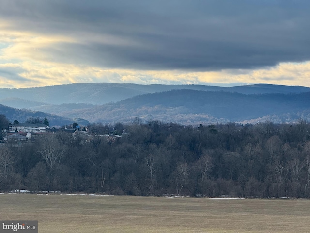 view of mountain feature with a forest view