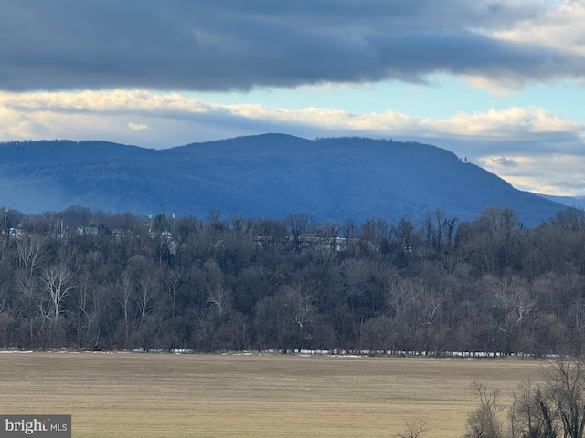 property view of mountains featuring a forest view and a rural view