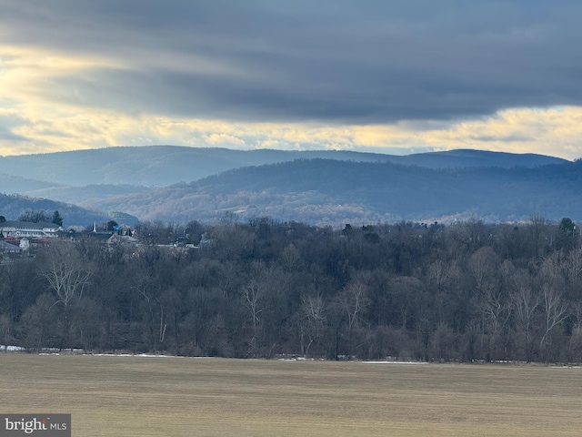 mountain view featuring a wooded view