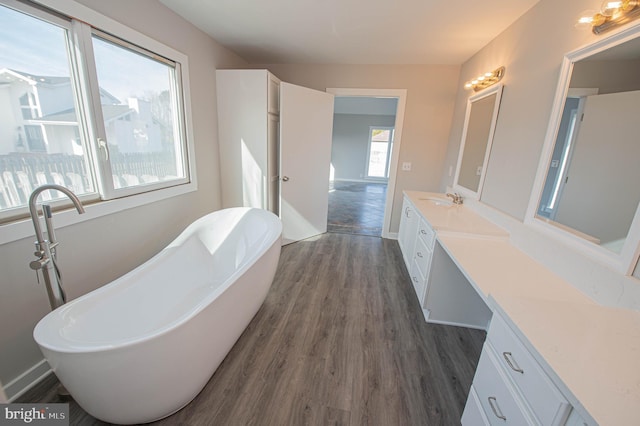 bathroom with vanity, wood-type flooring, and a washtub