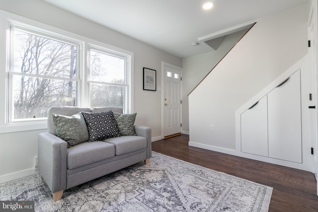 living room featuring dark hardwood / wood-style flooring