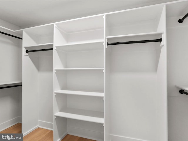 walk in closet with hardwood / wood-style floors