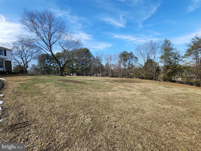 view of yard