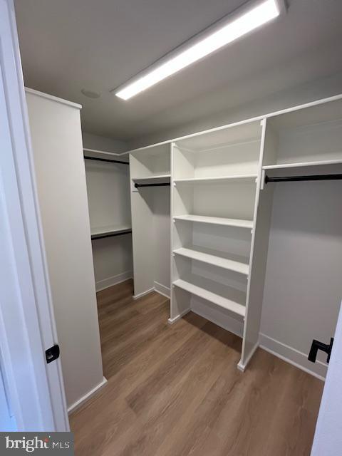 spacious closet with wood-type flooring