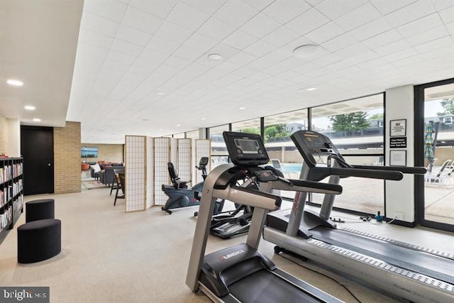 workout area featuring expansive windows and light colored carpet