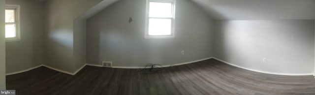 additional living space featuring wood-type flooring and vaulted ceiling