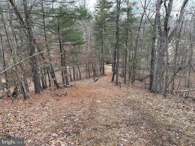 view of local wilderness