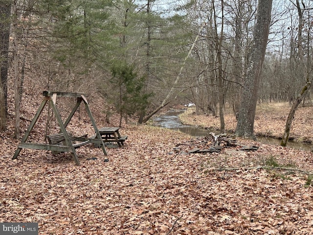 view of yard with a water view