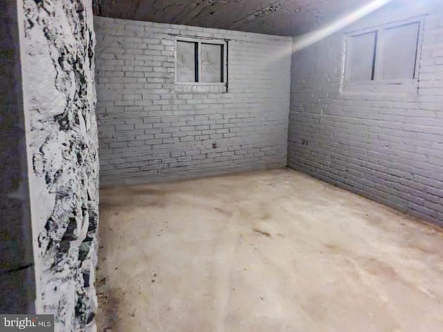 basement with brick wall