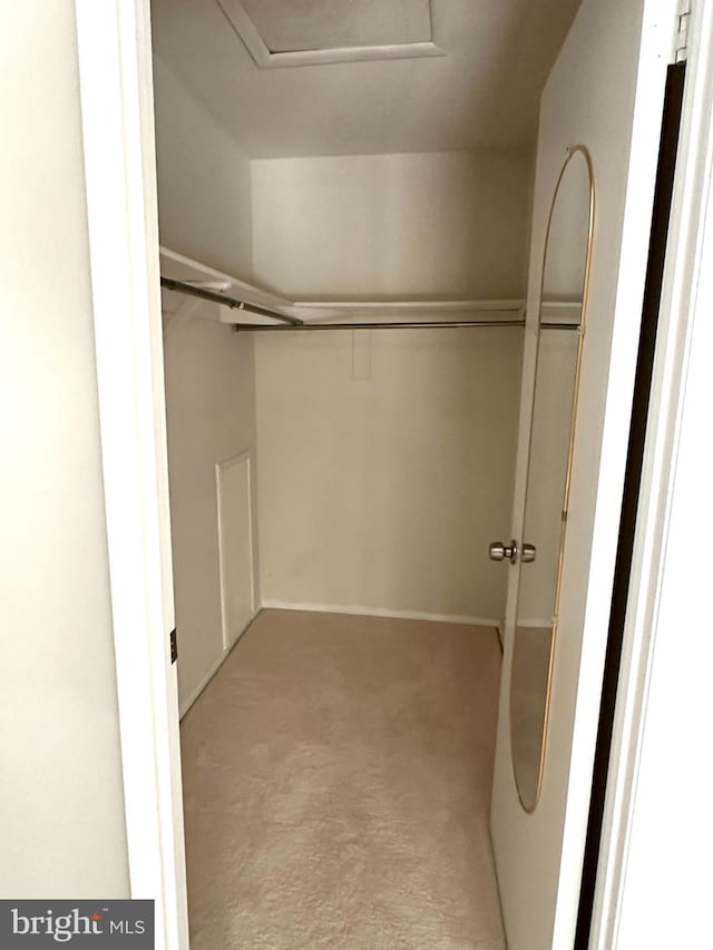 walk in closet featuring light colored carpet