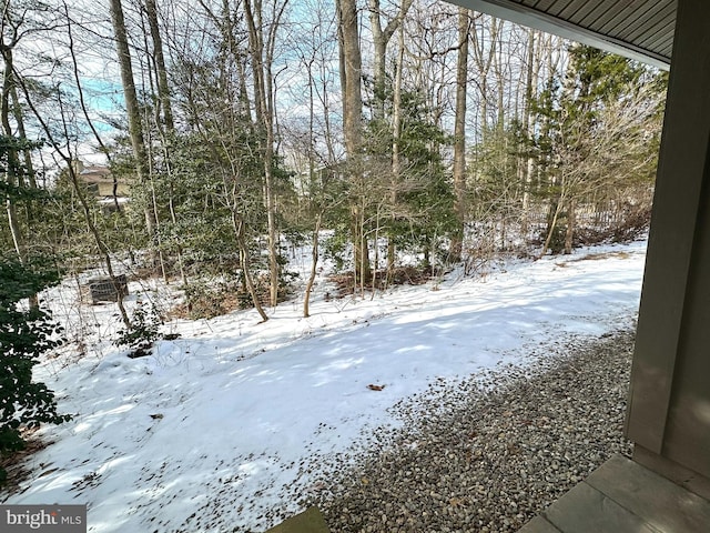 view of snowy yard