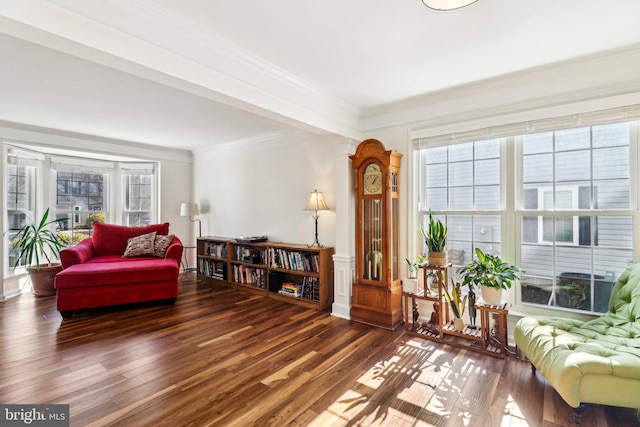 living area with ornamental molding and dark wood-type flooring