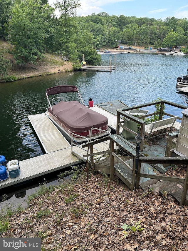 dock area with a water view